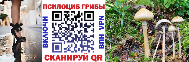 blacksprut ссылки  Рудня  Галлюциногенные грибы прущие грибы 